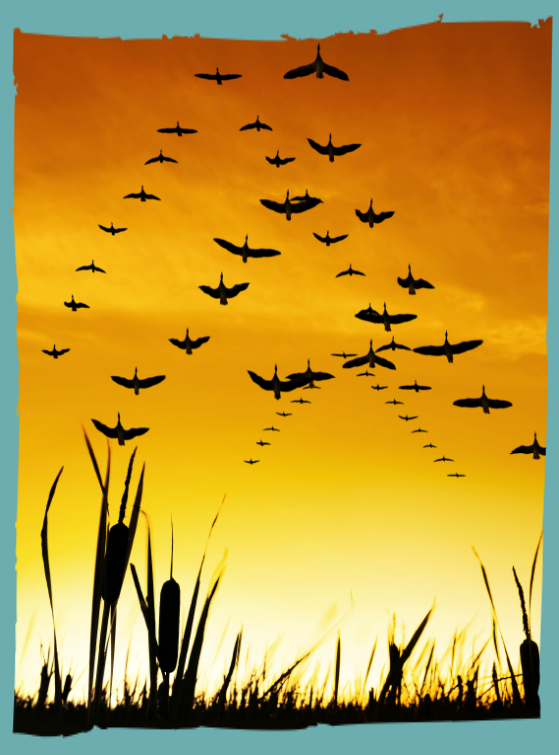 Leading in the right direction Leadership Direction